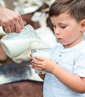 Молочный вопрос – что происходит с ценами на сырое молоко в России