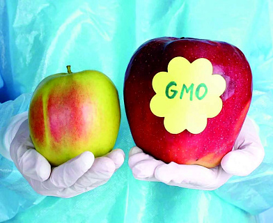Польза и вред ГМО